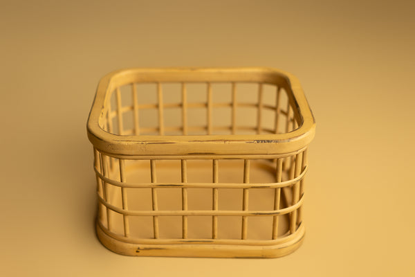 Butternuts Cage