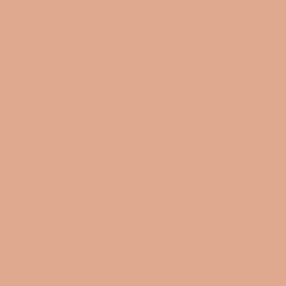 Apricot Collection