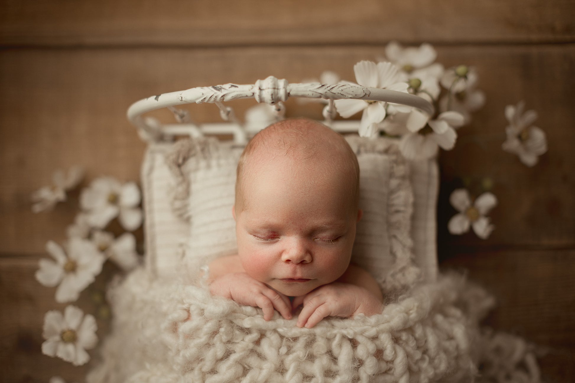 Credit Hello Little Studios