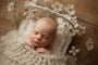 Credit Hello Little Studios