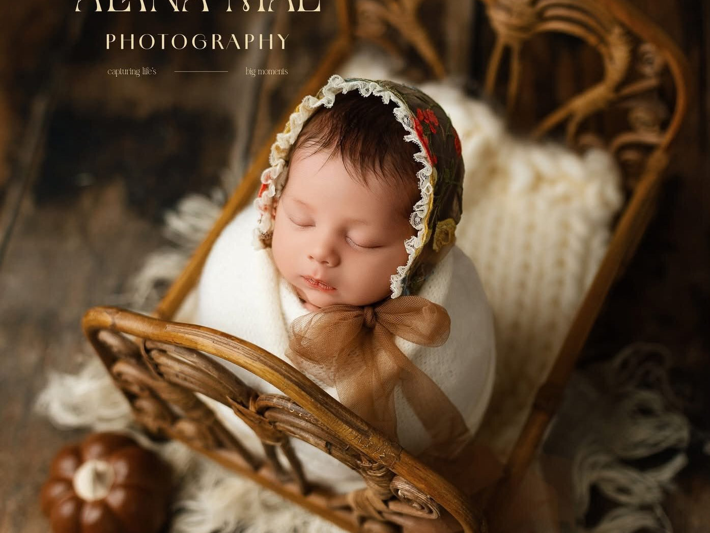 Credit Alana Mae Photography