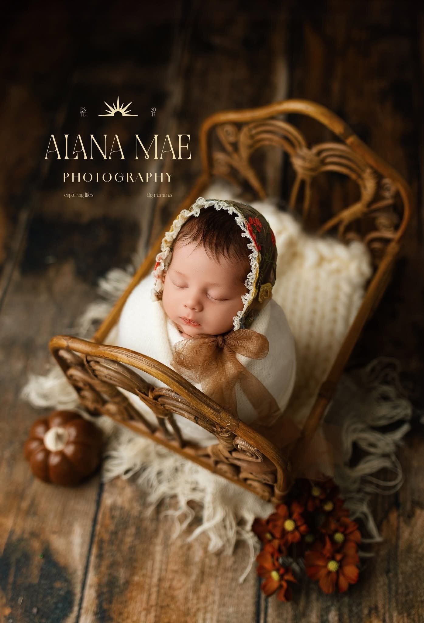 Credit Alana Mae Photography