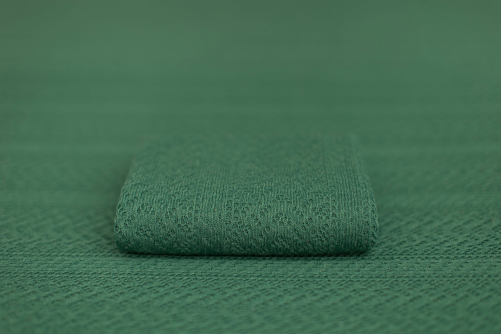 Boq | Brazilian Rainforest