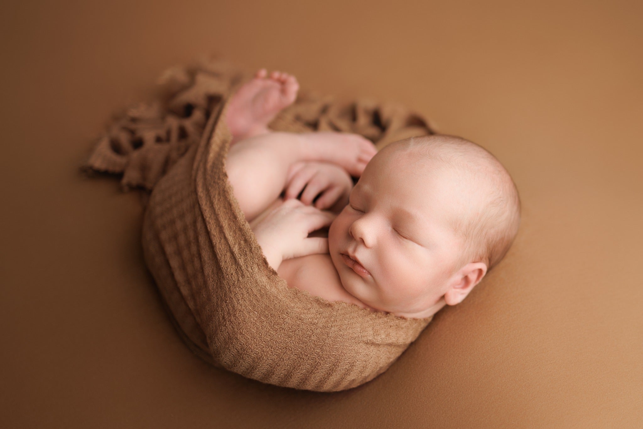 Credit Abby Nelson Photography