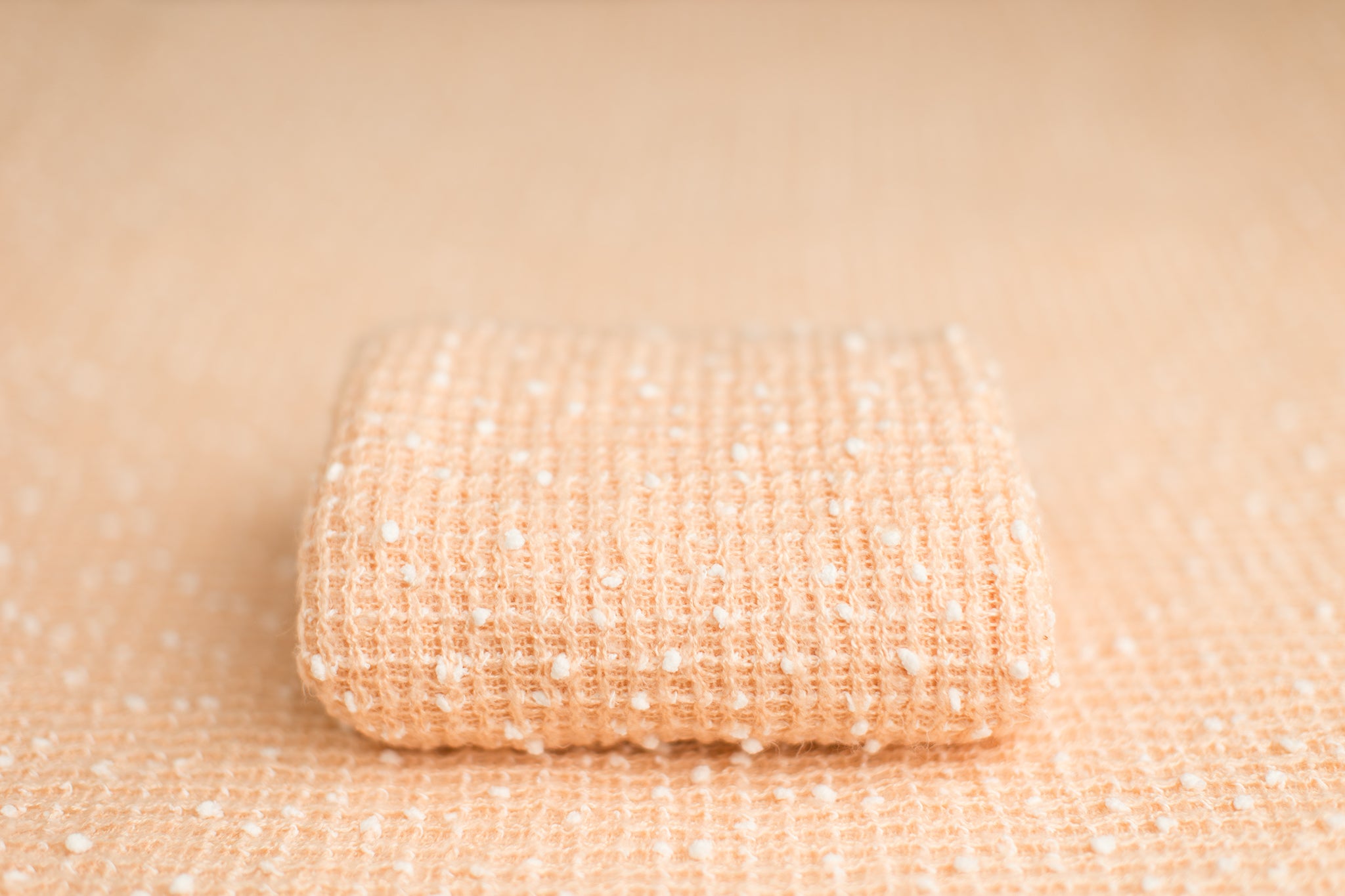 Colty | Rosebud's Laptop