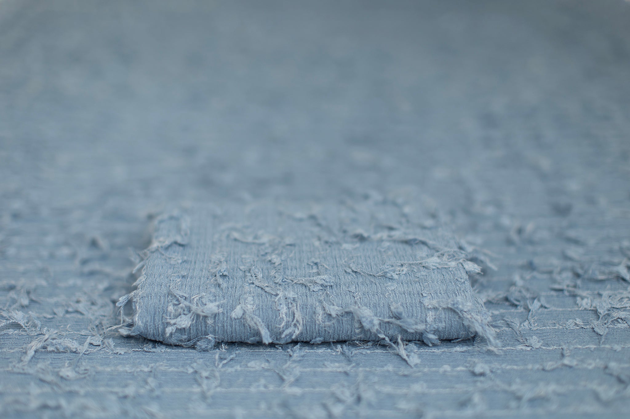 Elphaba | Delphinium