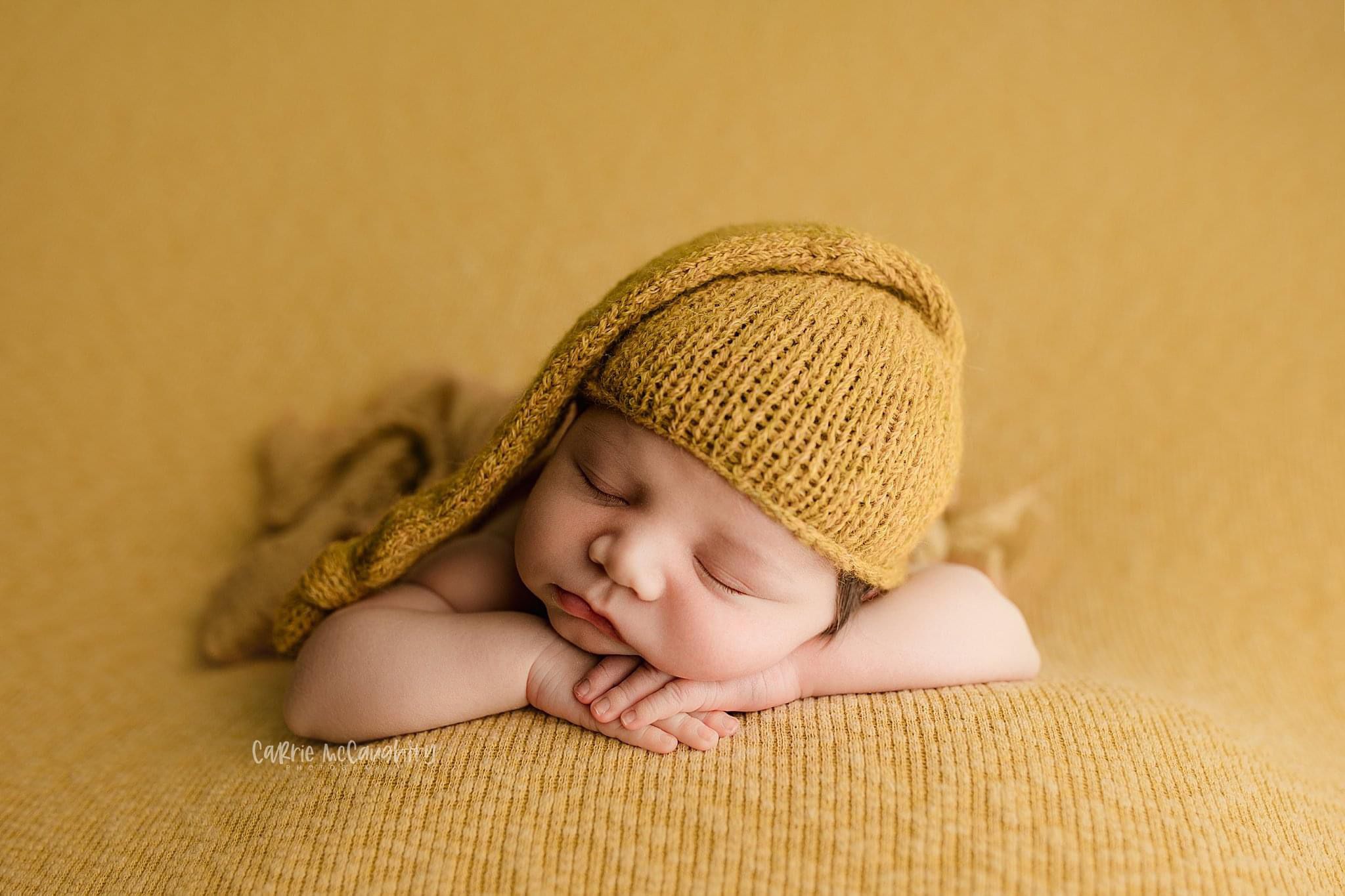 Credit Carrie McCaughtry Photography