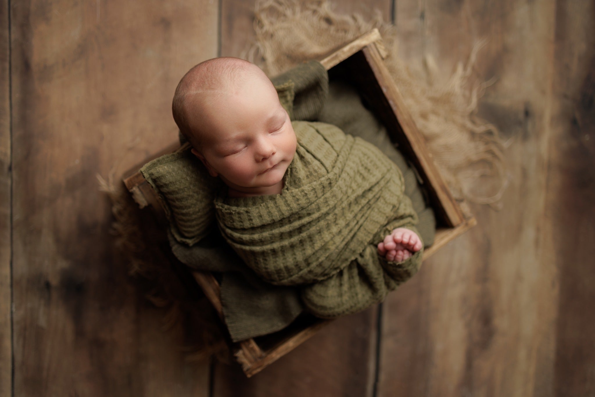 Credit Abby Nelson Photography