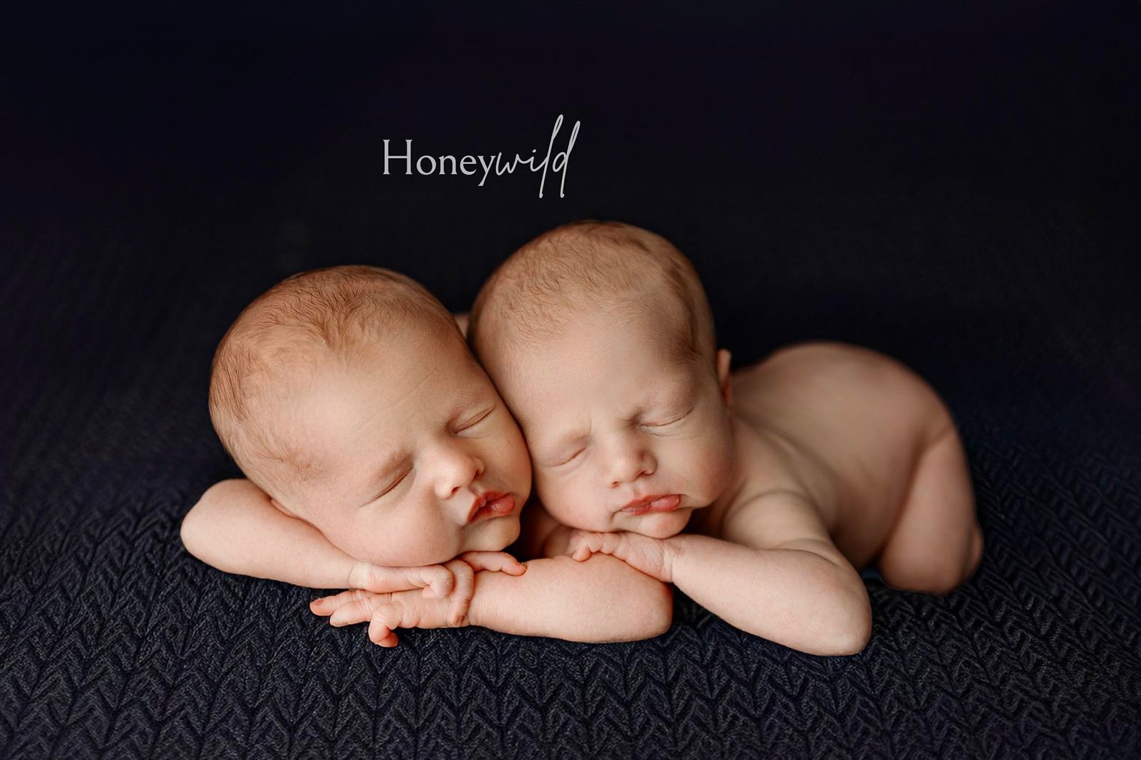 Credit Honeywild Photography