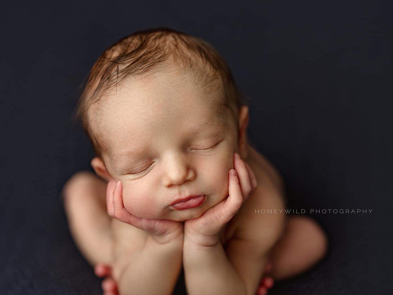 Credit Honeywild Photography