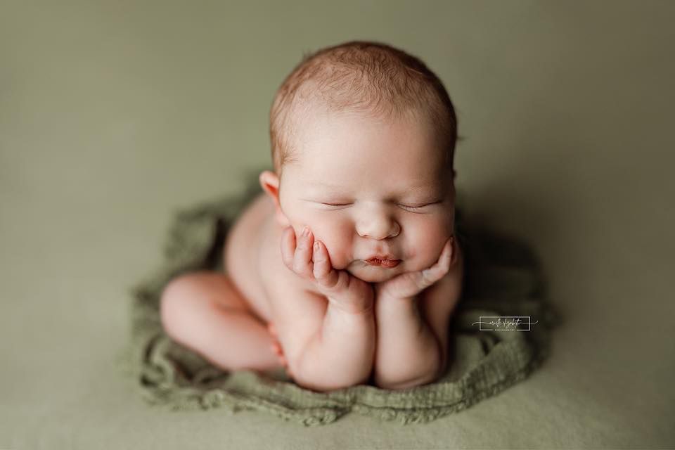 Credit Arielle Elizabeth Photography