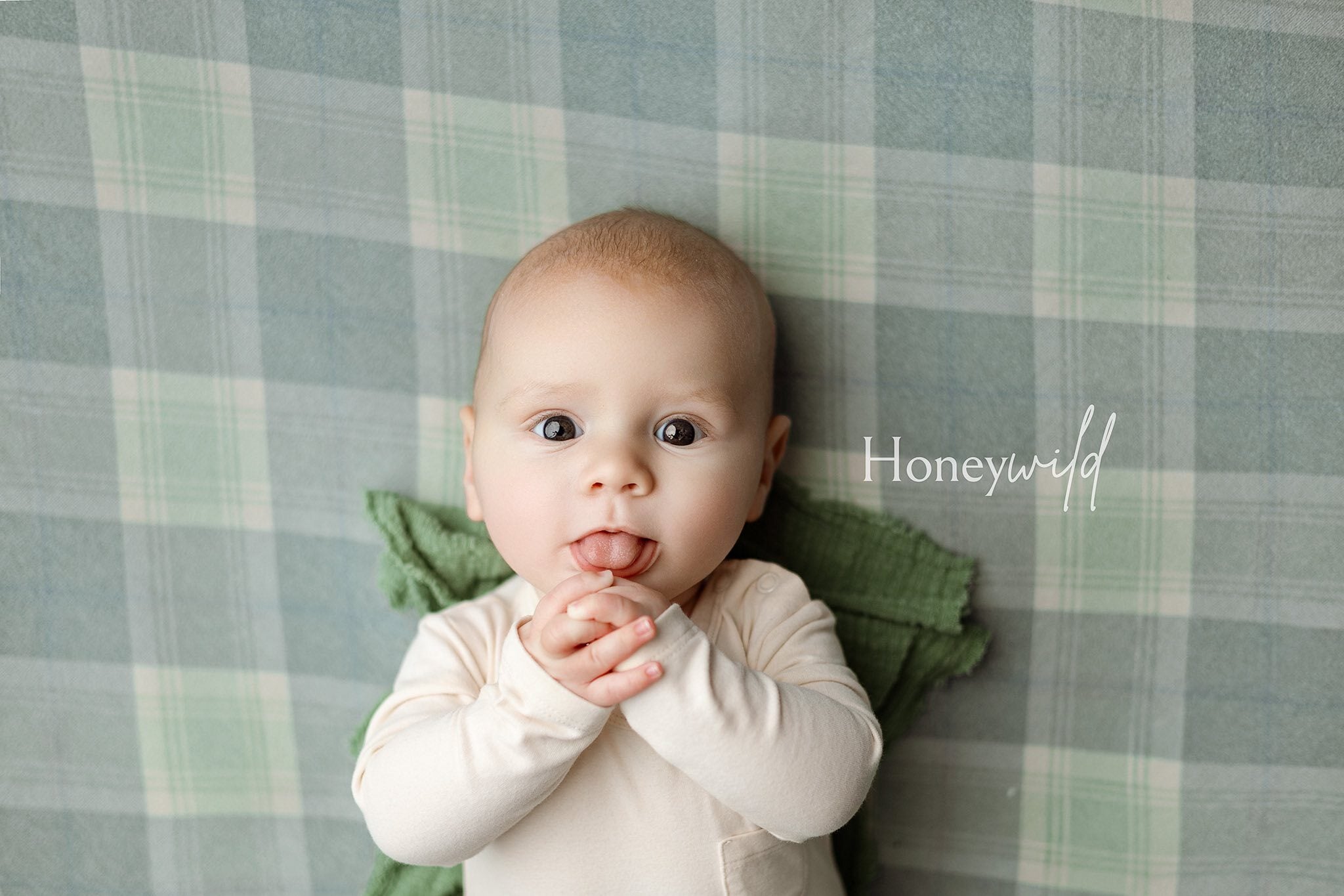 Credit Honeywild Photography