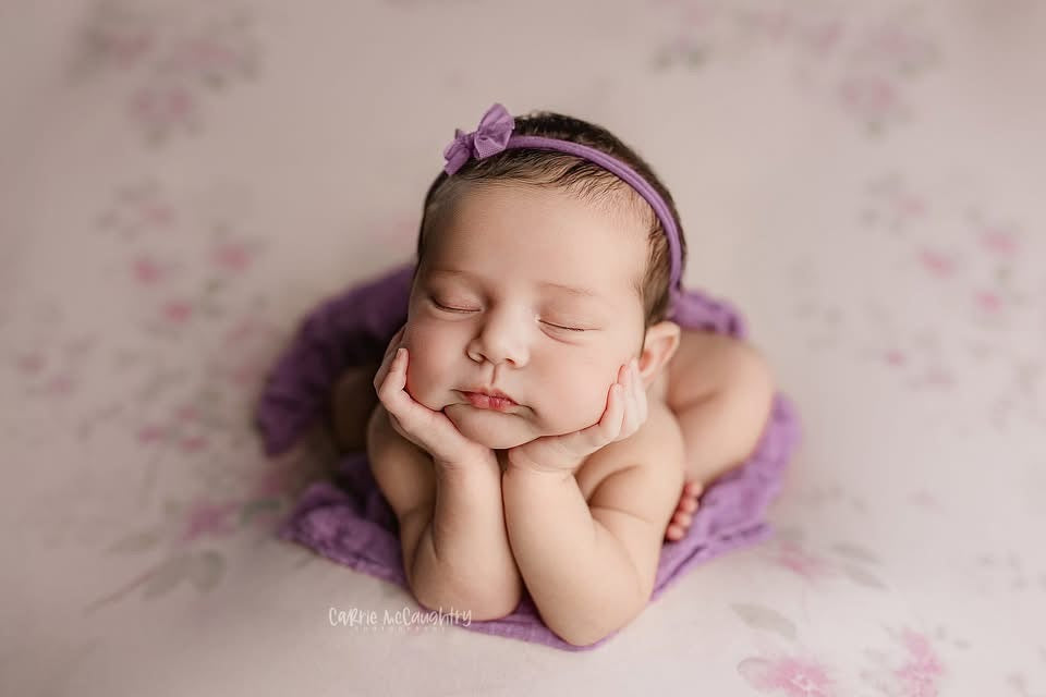 Credit Carrie McCaughtry Photography