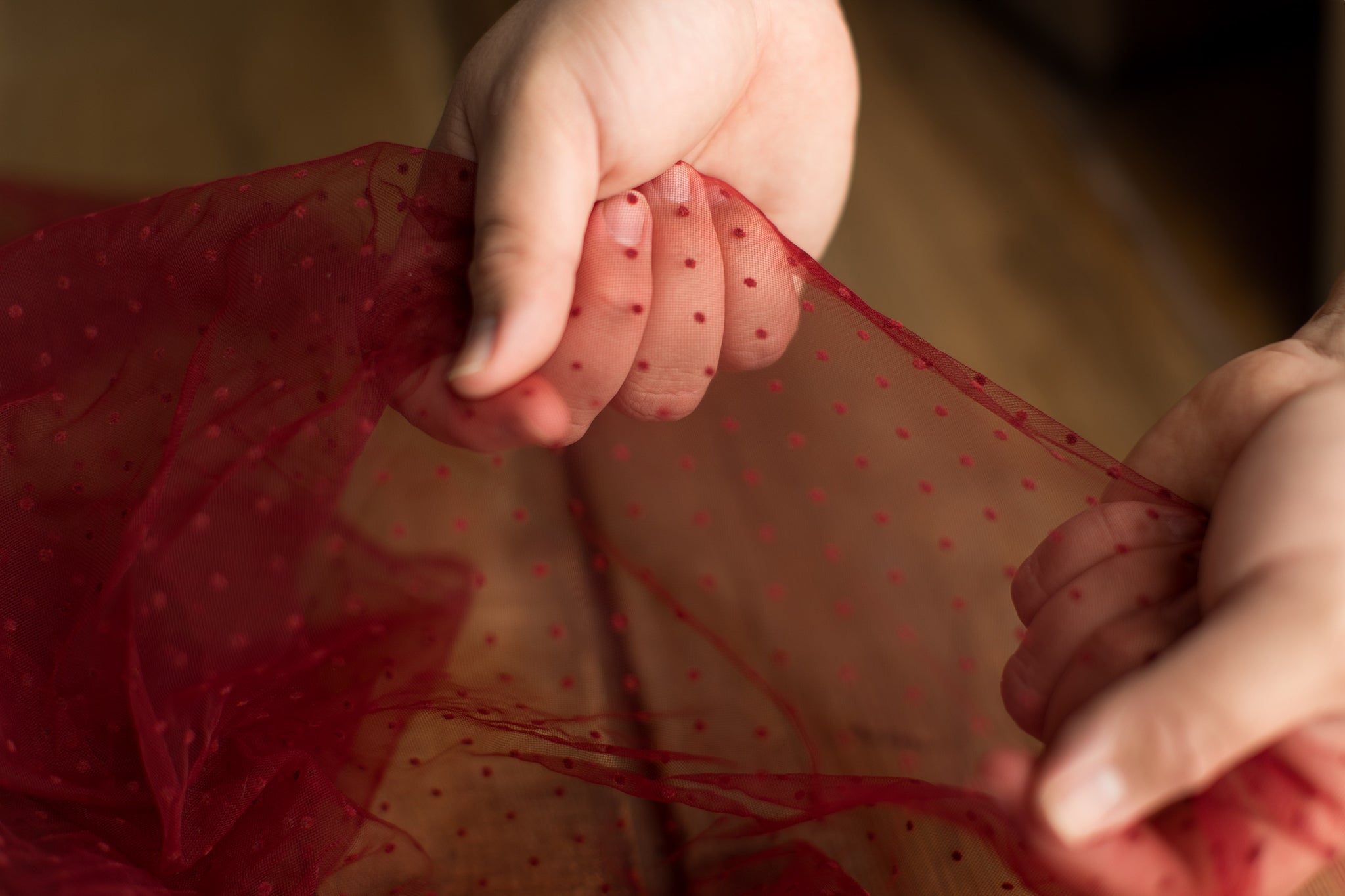 Teeny Weeny Dots | Burgundy Layer