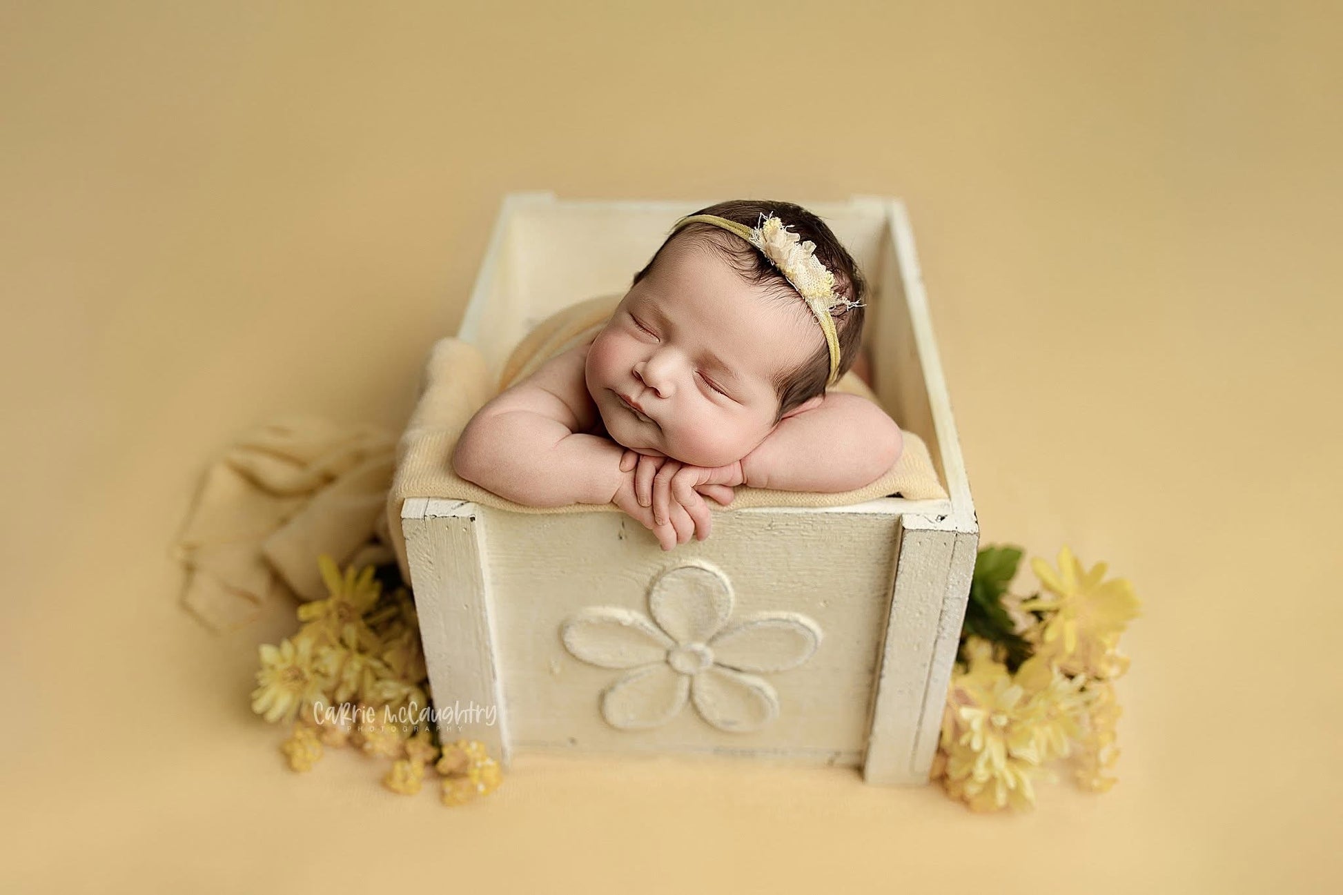 Credit Carrie McCaughtry Photography