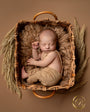 Credit Carri Beth Photography