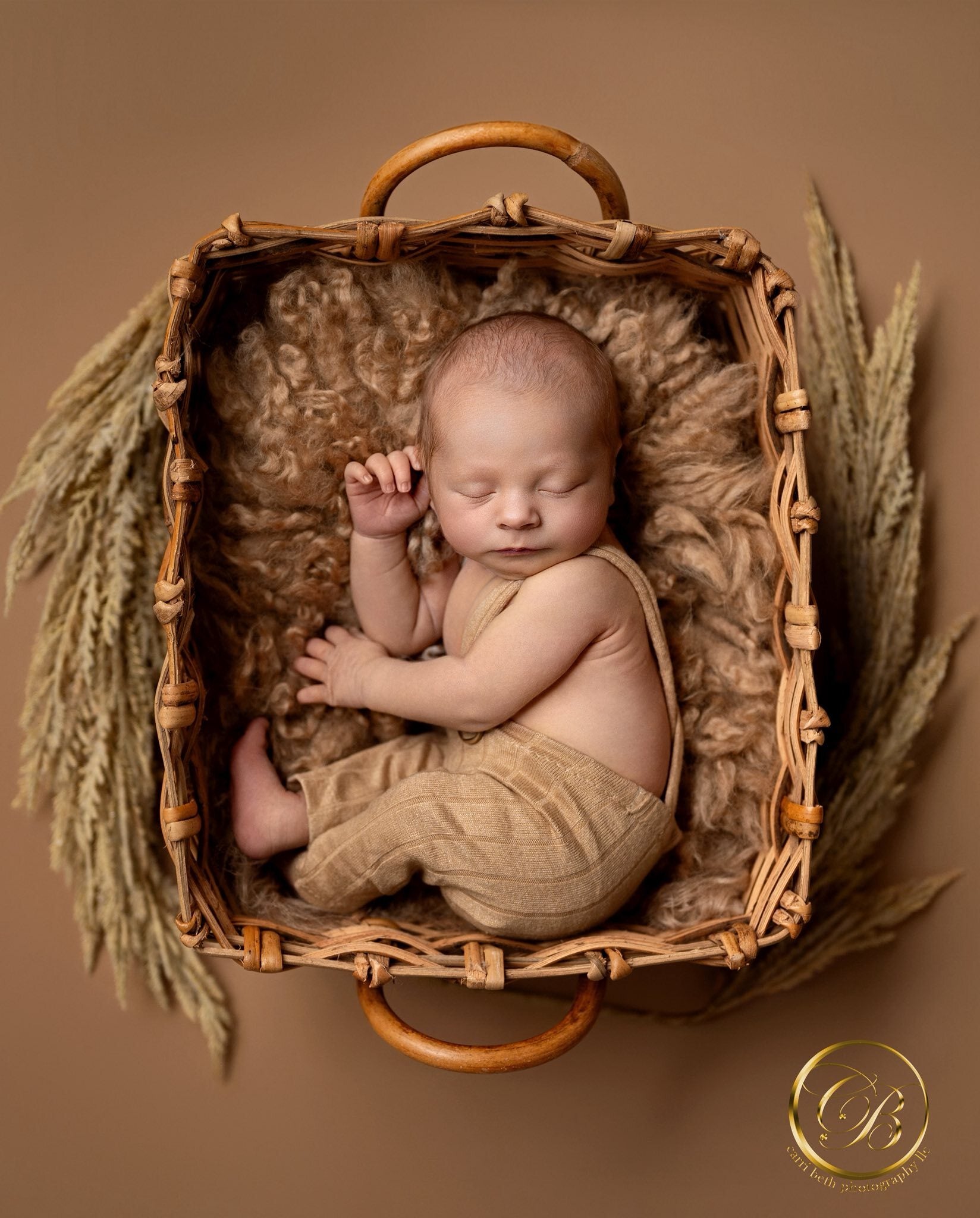 Credit Carri Beth Photography