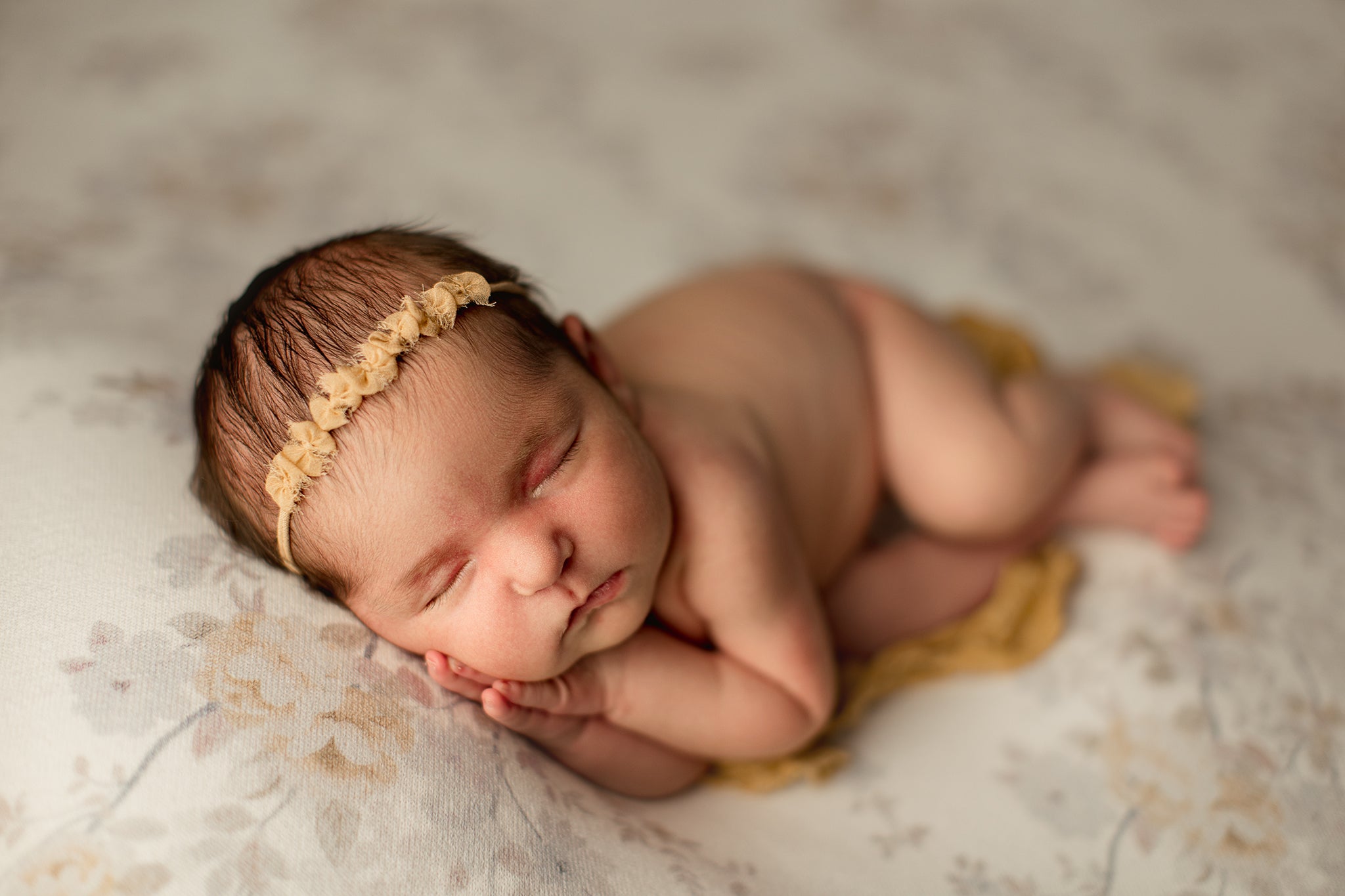 Credit Hello Little Studios