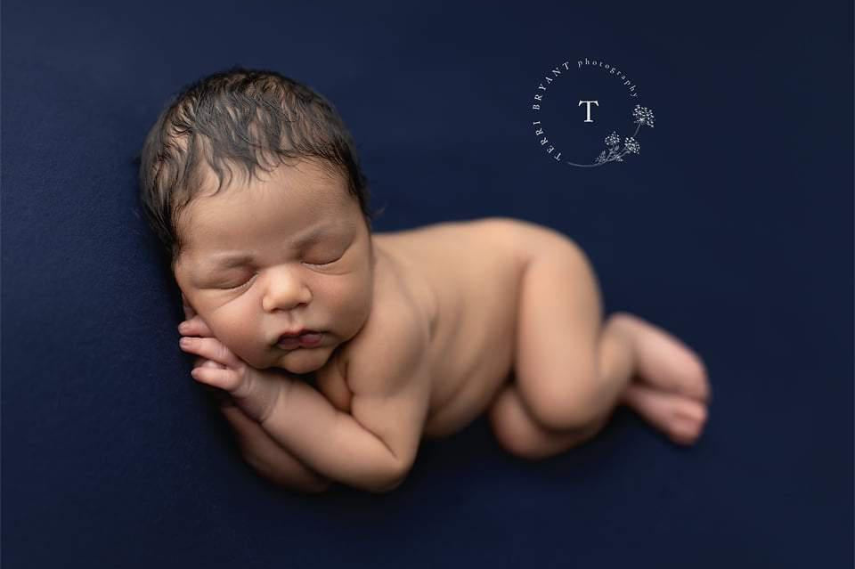 Credit Terri Bryant Photography