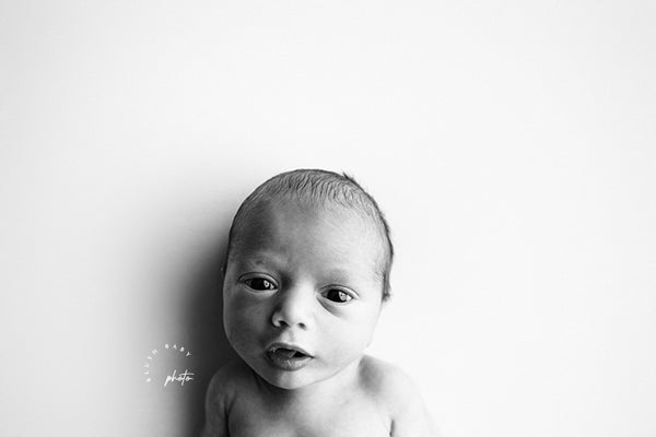 Feature - Kristen Matta of Baby Blush Photo + Hello Little