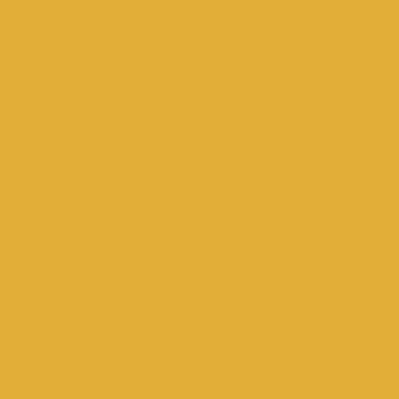 Mustard Collection