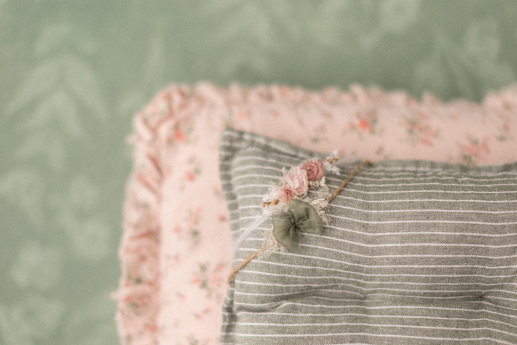 new! candy fields collection