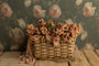 Wheat Basket