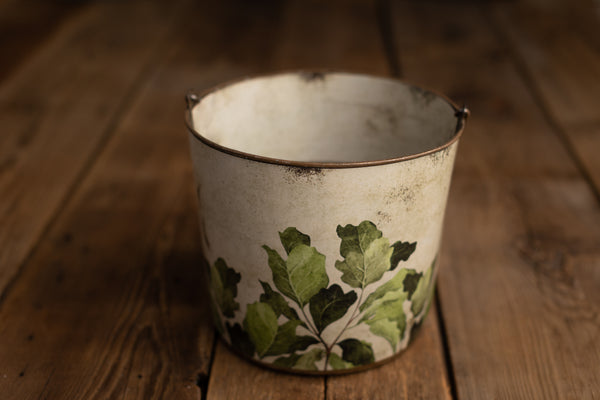Bucket Hugger | 412 Fiddle Leaf