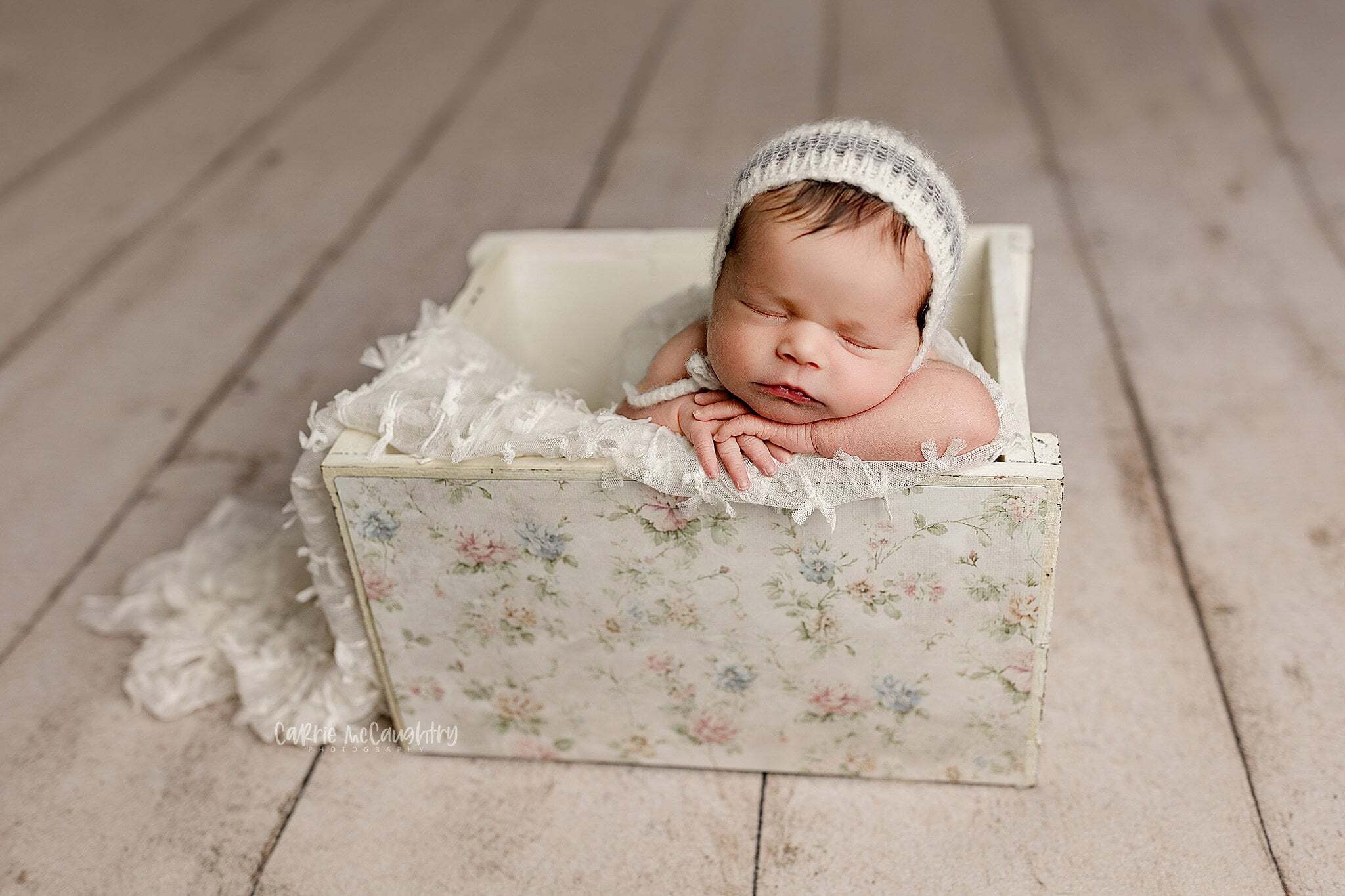 Credit Carrie Mccaughtry Photograpphy