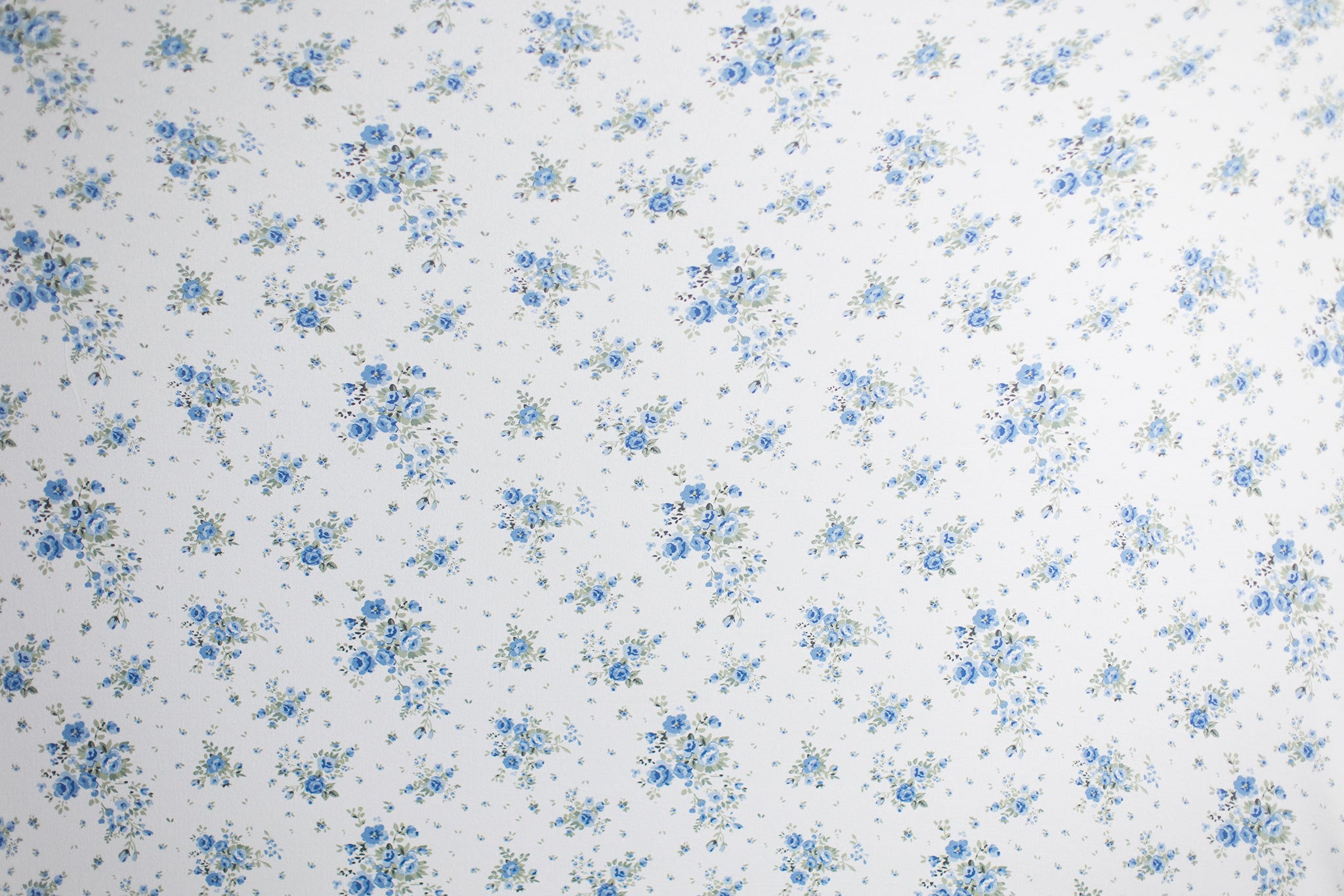 Princess Joey | Blue Bloomers (OOPS)