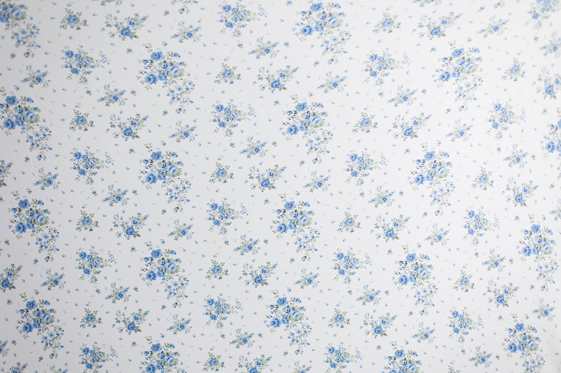 Princess Joey | Blue Bloomers (OOPS)