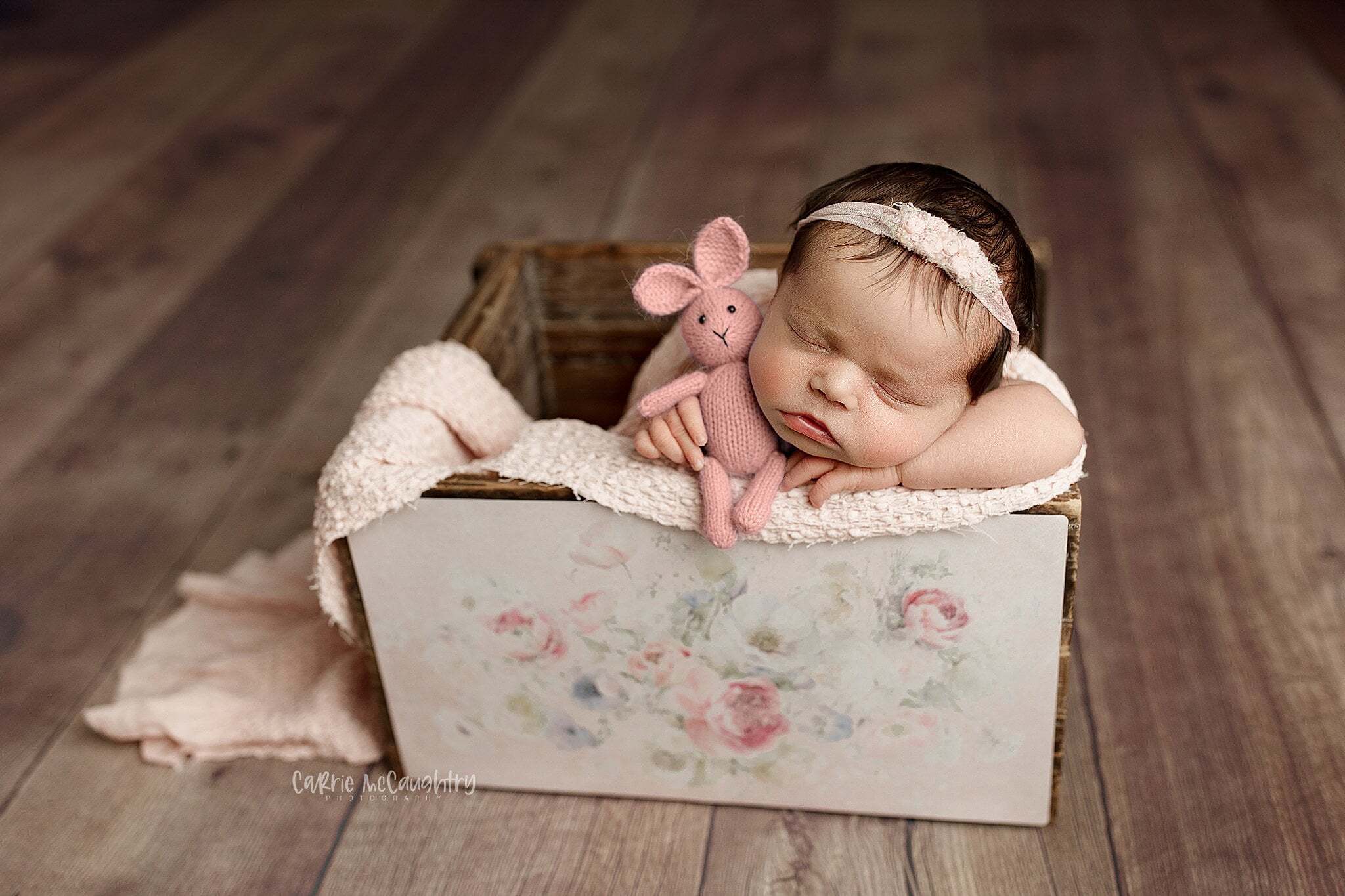 Credit Carrie Mccaughtry Photograpphy