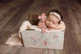 Credit Carrie Mccaughtry Photograpphy