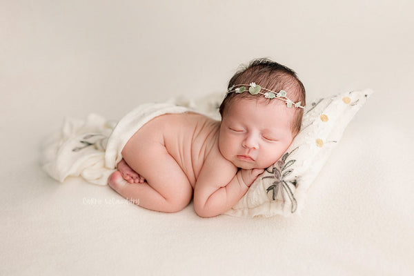 Credit Carrie McCaughtry Photography