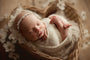 Credit Hello Little Studios