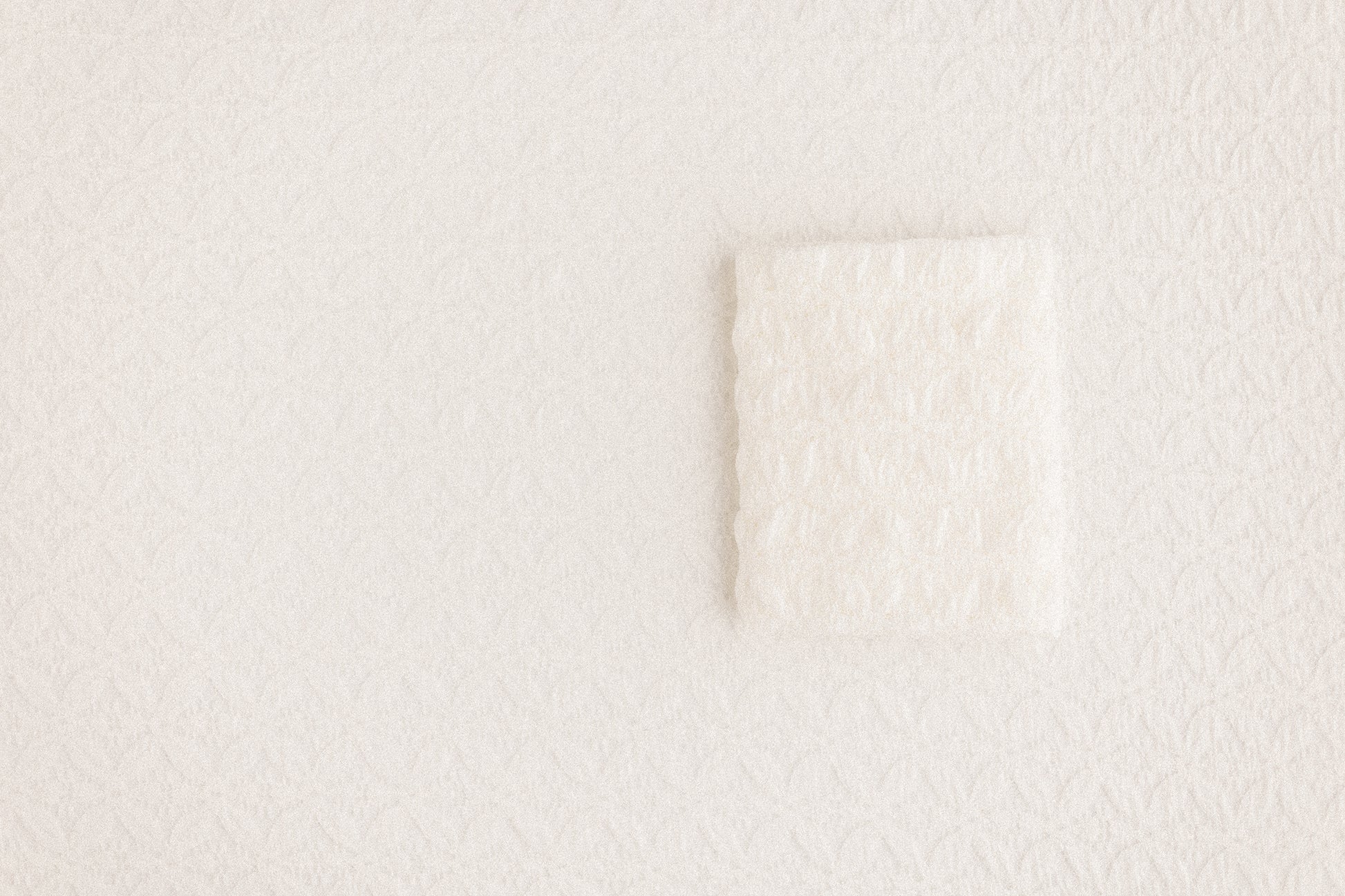 Anfisa | White Out