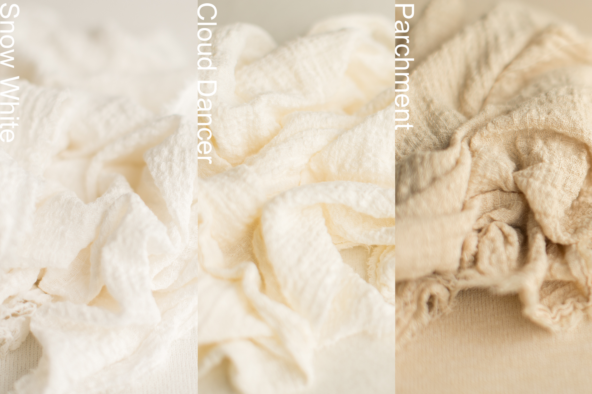 Pretty Little Layers | Rutabaga