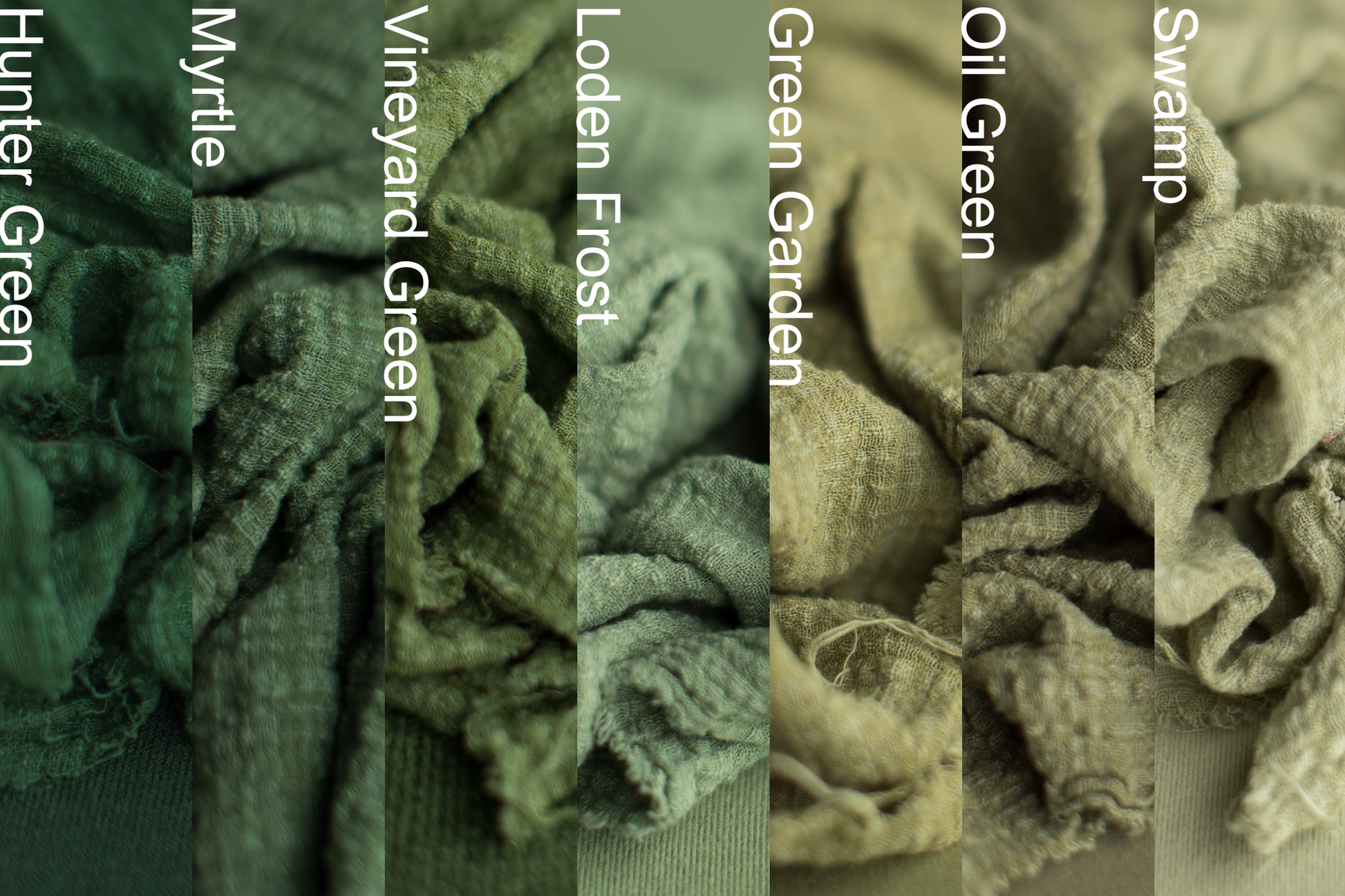 Pretty Little Layers | Wasabi
