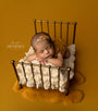 Credit Kristen Dempsey Photography