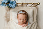 Credit Arielle Elizabeth Photography