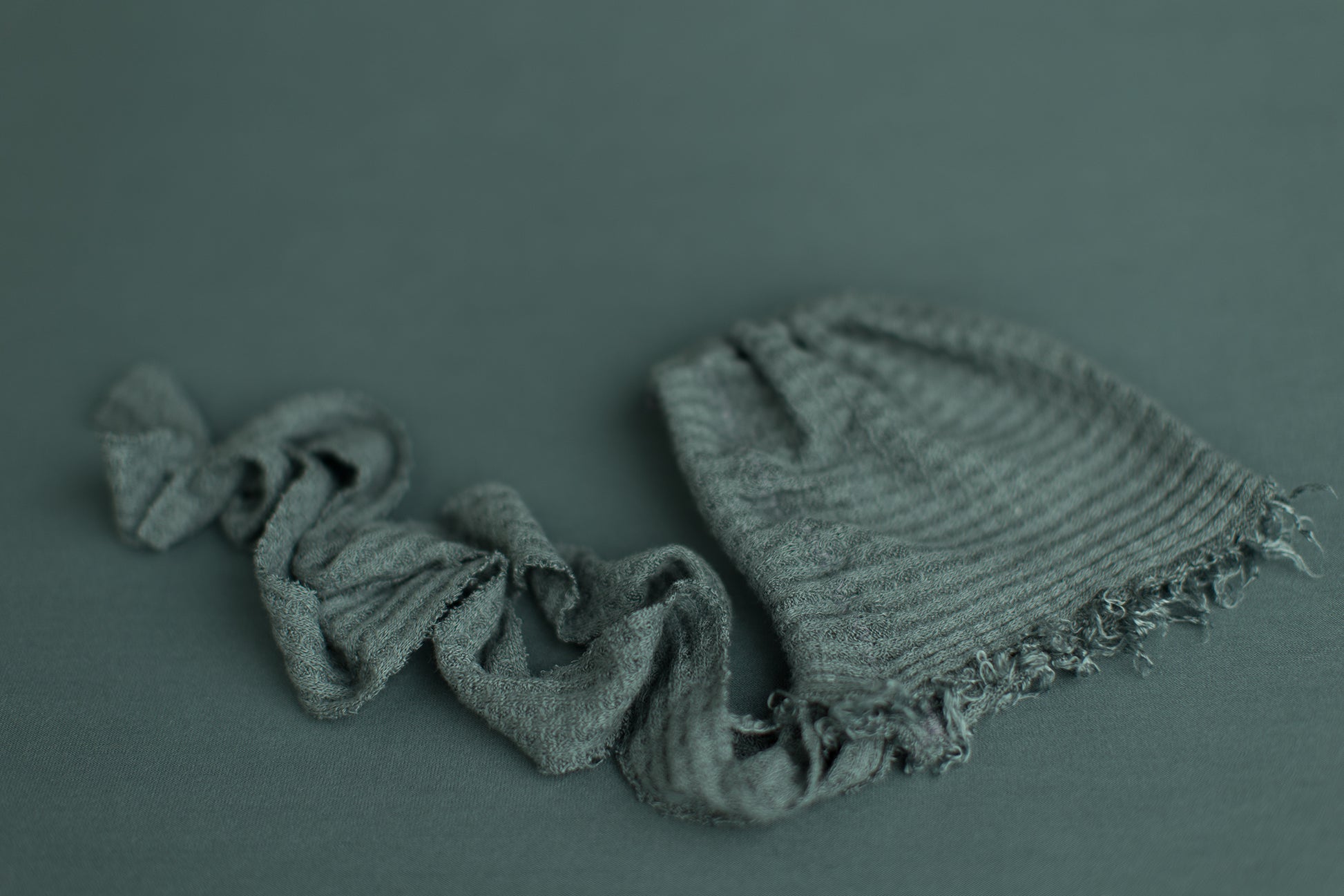 Bald Mercury Dragonfly | Bonnet