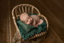 Credit Lindsey Reid Photography