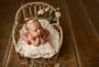 Credit Lindsey Reid Photography