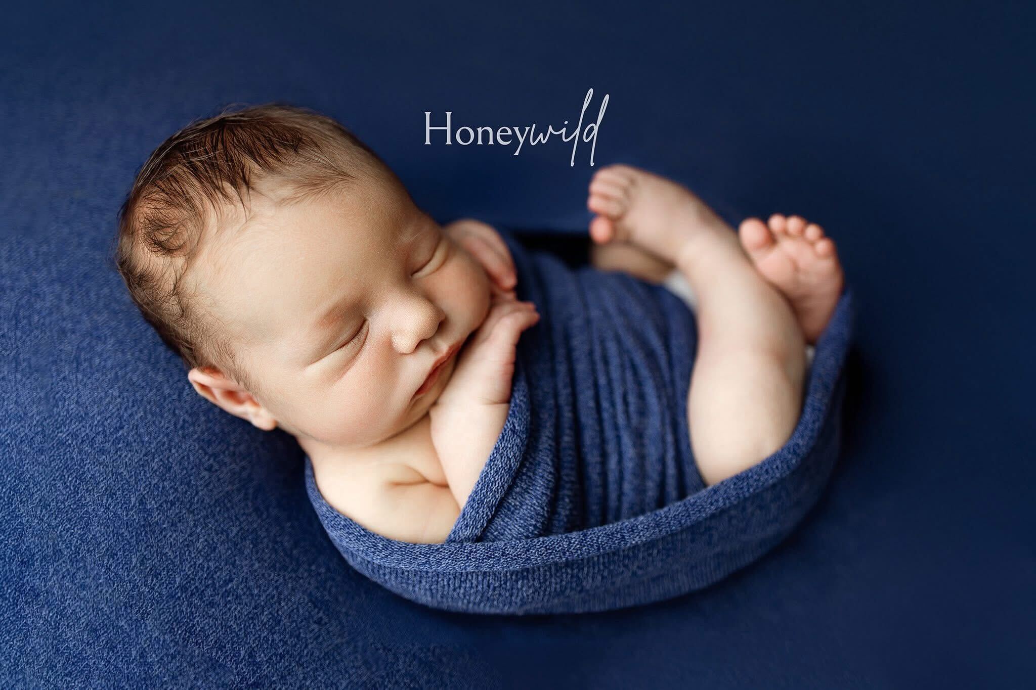 Credit Honeywild Photography