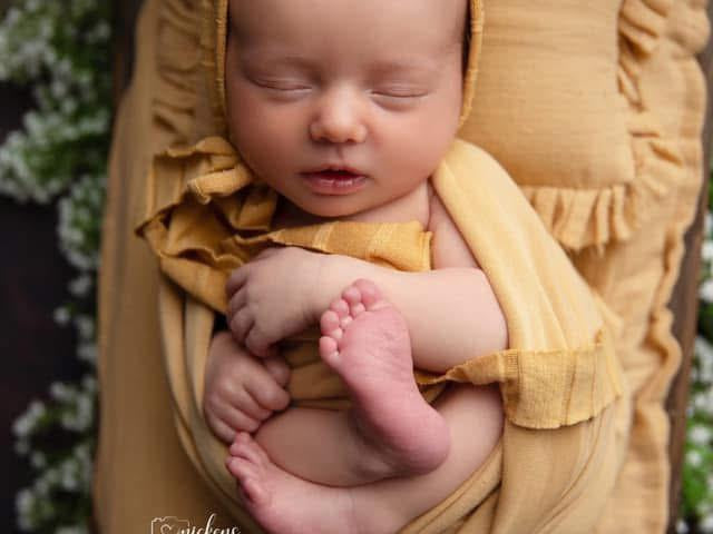 Credit Nickens Photography