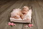 Credit Carrie McCaughtry Photography