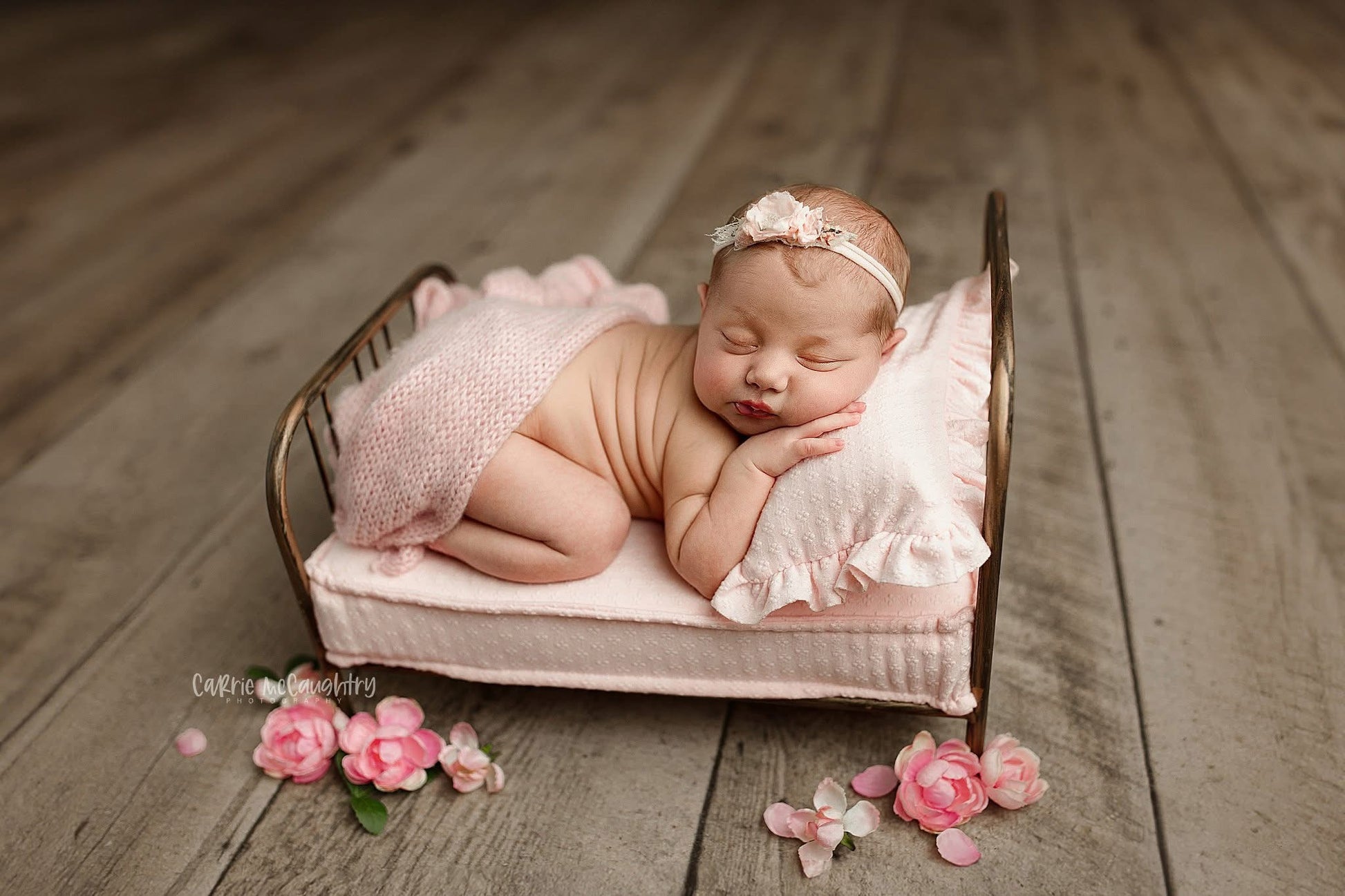 Credit Carrie McCaughtry Photography