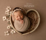 Credit Kristen Dempsey Photography