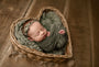 Credit Lindsey Reid Photography