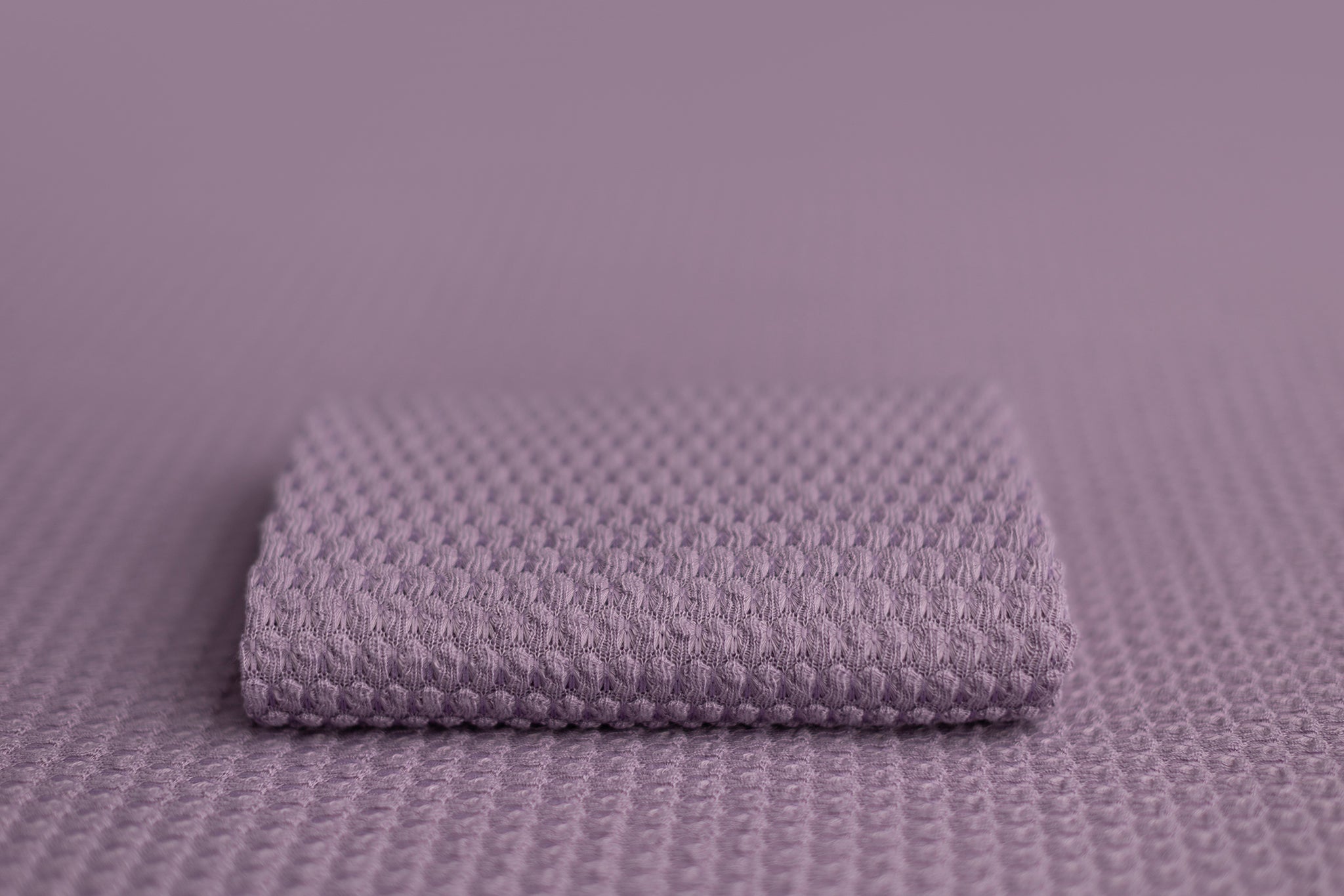 Big Ol' Queen | Kitten Around